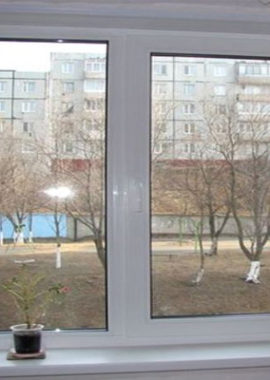 foto1